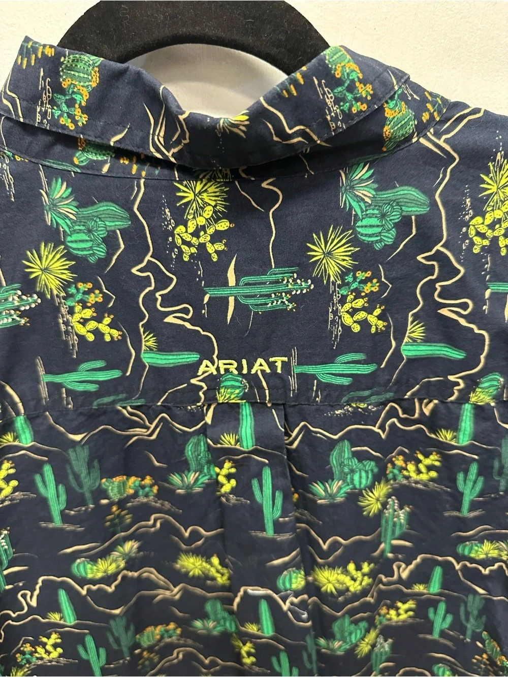 ARIAT MEN'S BECKETT ALL-OVER DESERT PRINT BUTTON-DOWN WESTERN SHIRT XL